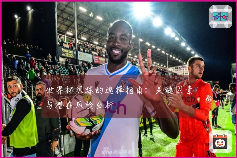 世界杯买球的选择指南：关键因素与潜在风险分析