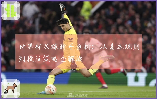 世界杯买球新手分析：从基本规则到投注策略全解读
