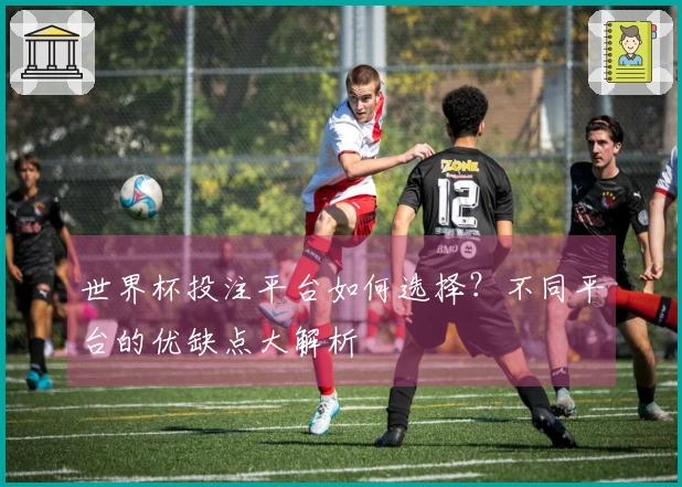 世界杯投注平台如何选择？不同平台的优缺点大解析