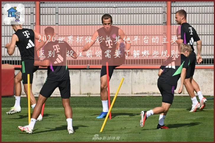 2026世界杯体彩与其他平台的主要区别，投注前你需要了解哪些规则？