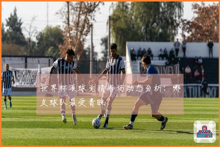 世界杯滚球竞猜市场动态分析：哪支球队最受青睐？