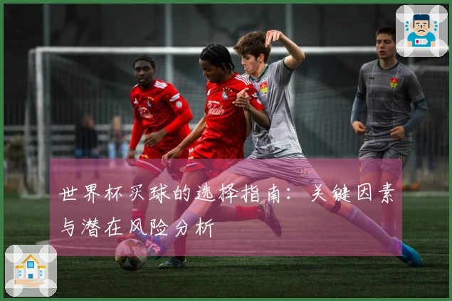世界杯买球的选择指南：关键因素与潜在风险分析