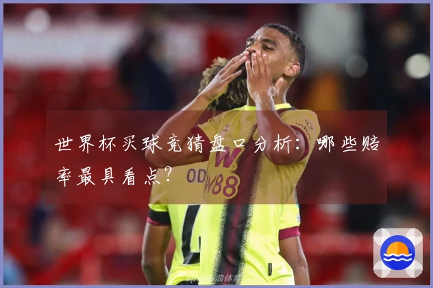世界杯买球竞猜盘口分析：哪些赔率最具看点？