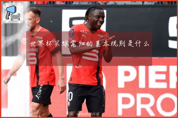 世界杯买球需知的基本规则是什么