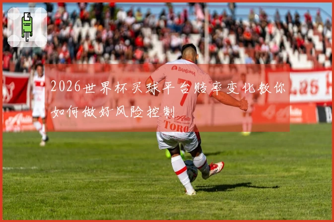 2026世界杯买球平台赔率变化教你如何做好风险控制