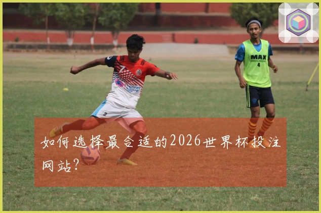 如何选择最合适的2026世界杯投注网站？