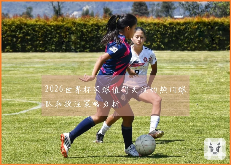 2026世界杯买球值得关注的热门球队和投注策略分析