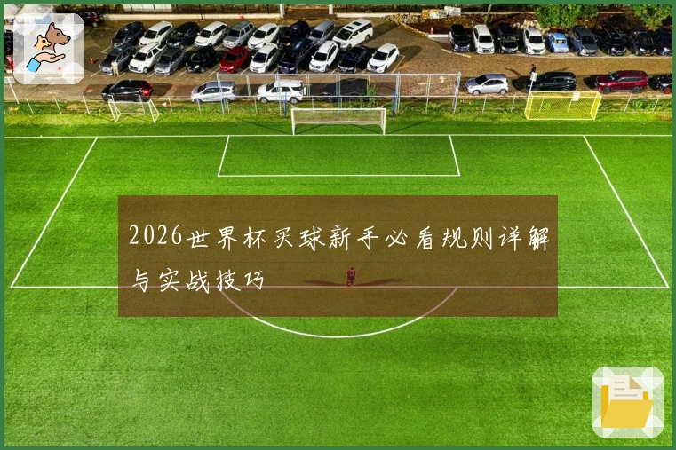 2026世界杯买球新手必看规则详解与实战技巧