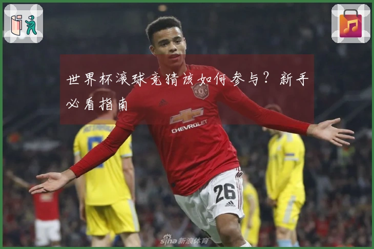 世界杯滚球竞猜该如何参与？新手必看指南