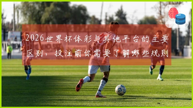 2026世界杯体彩与其他平台的主要区别，投注前你需要了解哪些规则？
