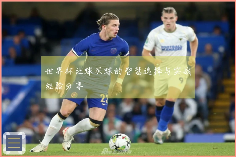 世界杯让球买球的智慧选择与实战经验分享