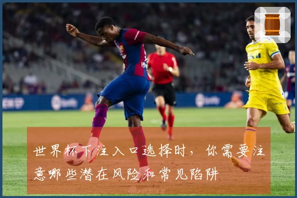 世界杯下注入口选择时，你需要注意哪些潜在风险和常见陷阱
