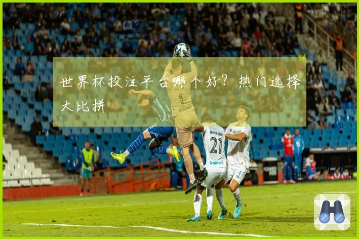 世界杯投注平台哪个好？热门选择大比拼