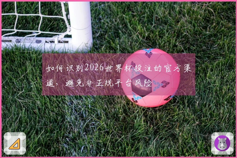 如何识别2026世界杯投注的官方渠道，避免非正规平台风险