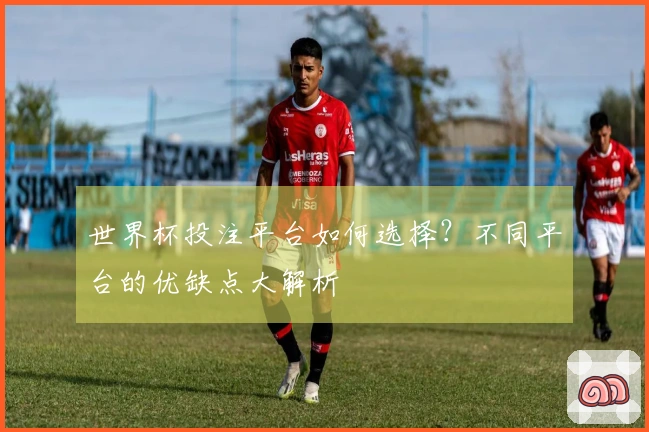 世界杯投注平台如何选择？不同平台的优缺点大解析