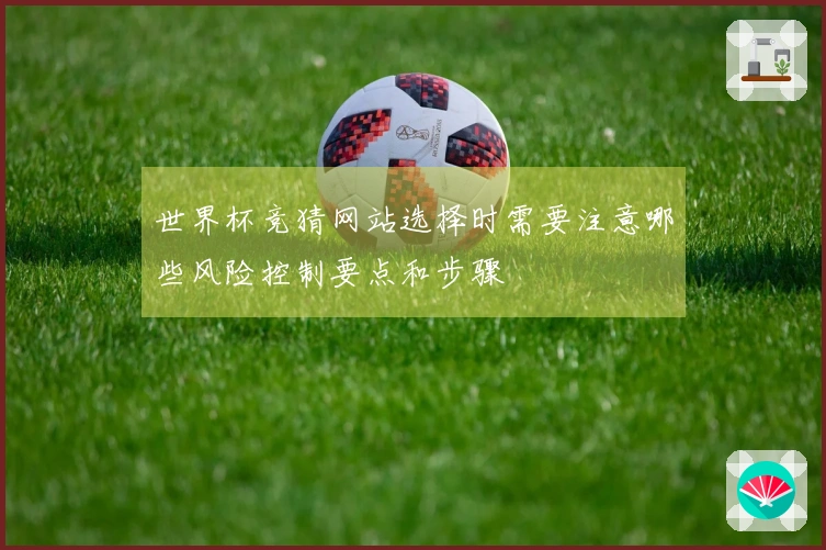 世界杯竞猜网站选择时需要注意哪些风险控制要点和步骤
