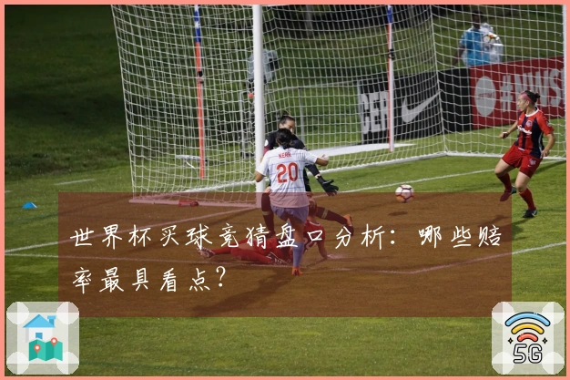 世界杯买球竞猜盘口分析：哪些赔率最具看点？