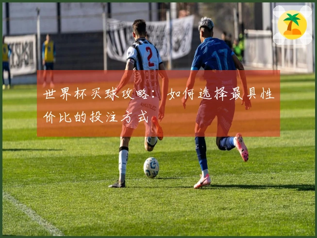 世界杯买球攻略：如何选择最具性价比的投注方式