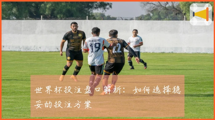 世界杯投注盘口解析：如何选择稳妥的投注方案
