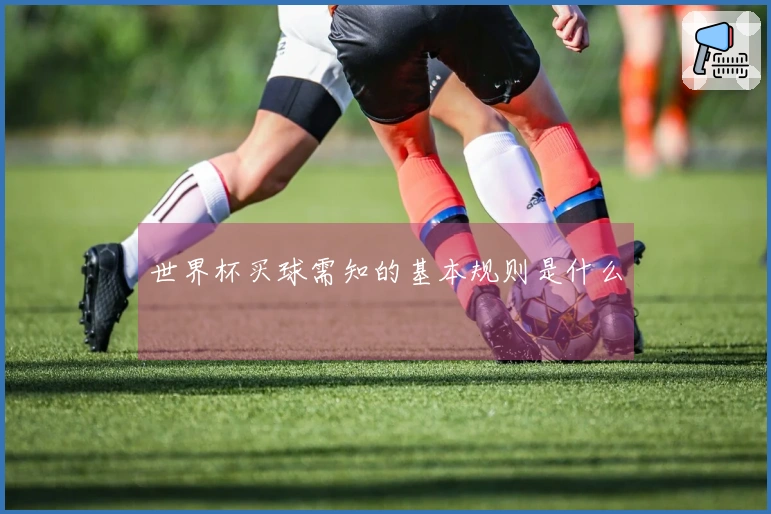 世界杯买球需知的基本规则是什么
