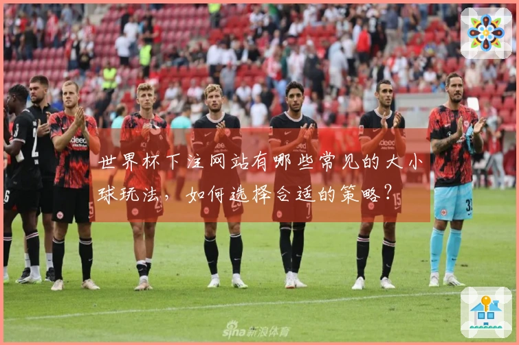 世界杯下注网站有哪些常见的大小球玩法，如何选择合适的策略？