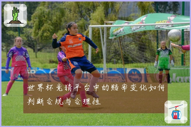 世界杯竞猜平台中的赔率变化如何判断合规与合理性